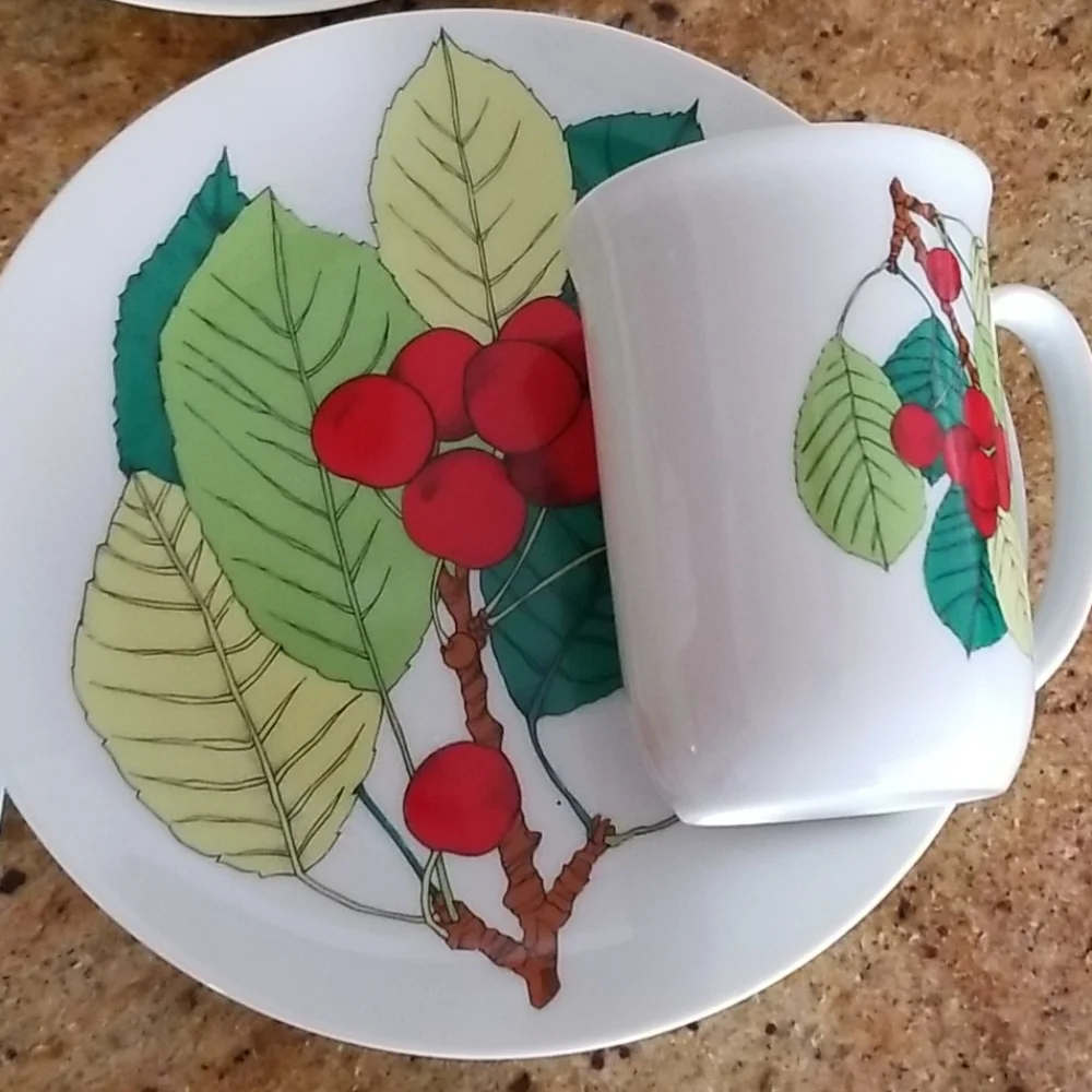 VTG Eden fine China Toscany Japan Fruit 8-pc set